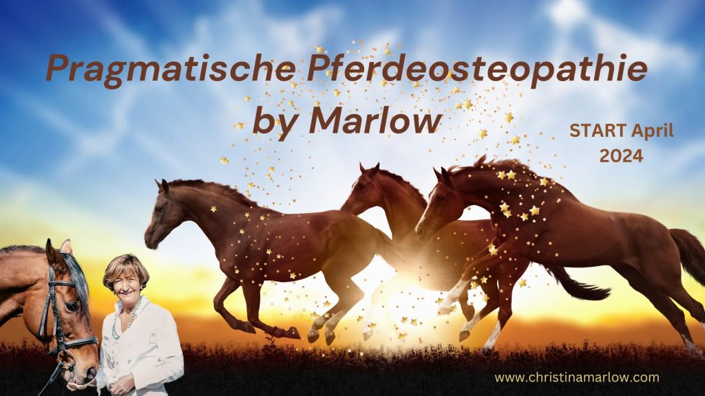 Christina Marlow Pragmatische Pferdeosteopathie Bickenbach